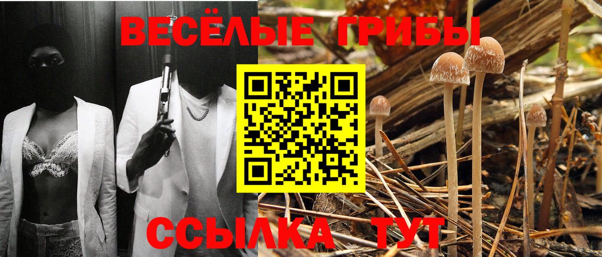 что такое наркотик  Галлюциногенные грибы Psilocybe  Вход с VPN  Галлюциногенные грибы MAGIC MUSHROOMS  Сосновый Бор 